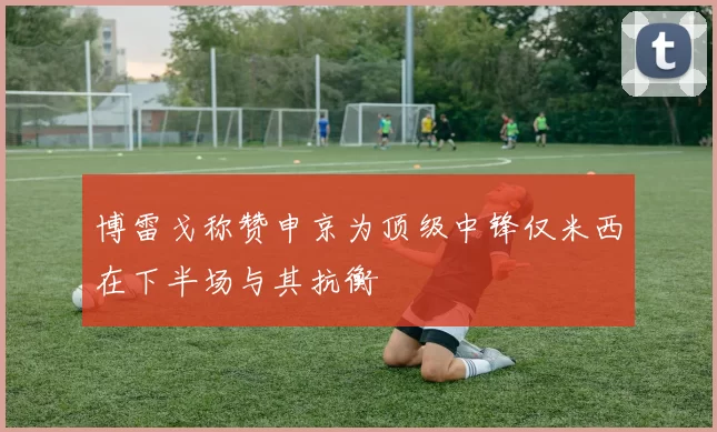 博雷戈称赞申京为顶级中锋仅米西在下半场与其抗衡