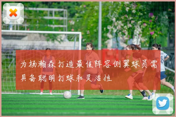为杨瀚森打造最佳阵容侧翼球员需具备聪明打球和灵活性
